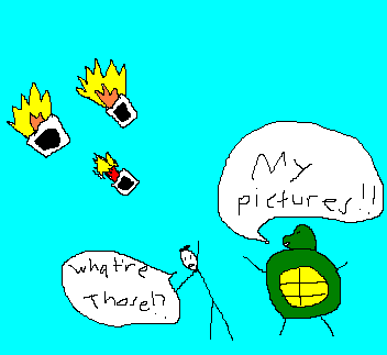 turtlepictures