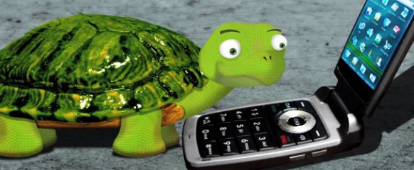 turtlecalls – GameCola