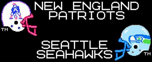 Super Bowl XLIX Banner