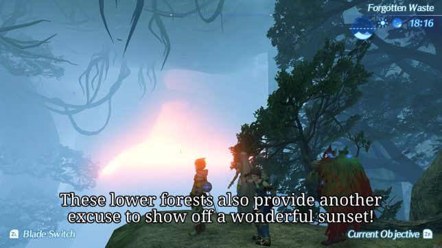 Image: A sunset piercing through the fog of a dense forest.
Text: These lower forests also provide another excuse to show off a wonderful sunset!